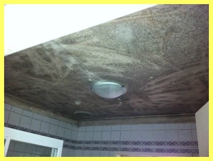 Mould Removal